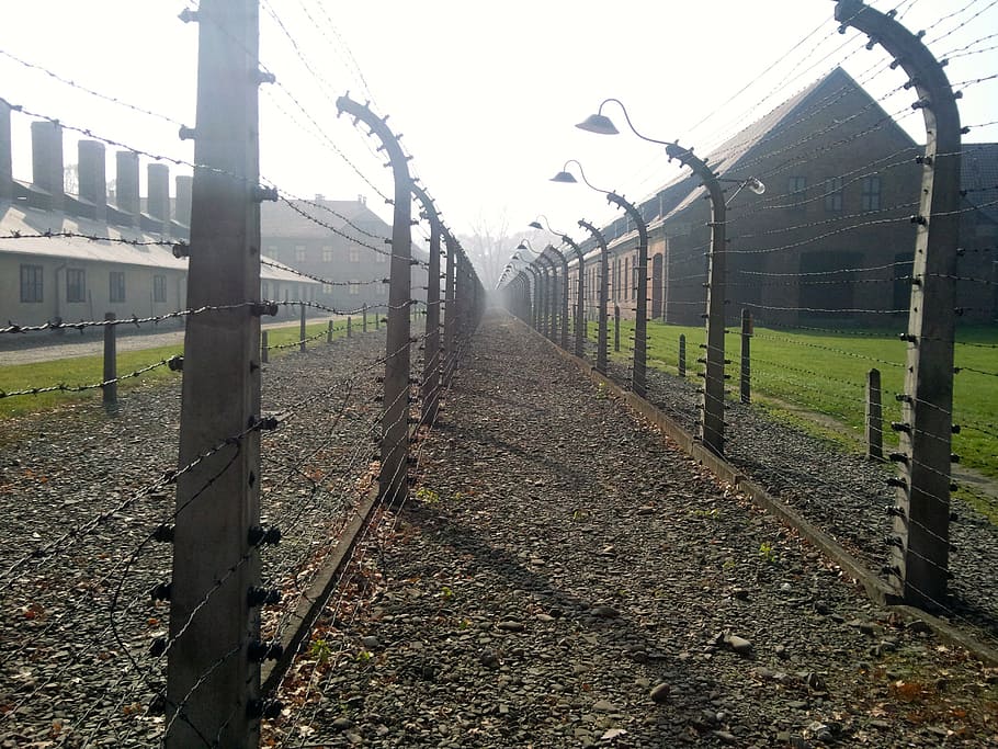 empty pathway beside fences at daytime, concentration camp, holocaust
