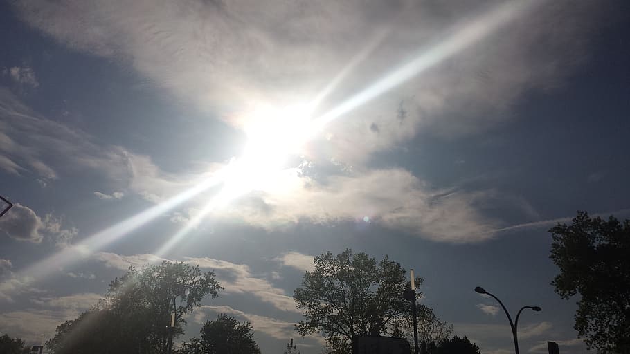 sun, burst, light, sky, clouds, blue, white, tree, trees, spring HD wallpaper