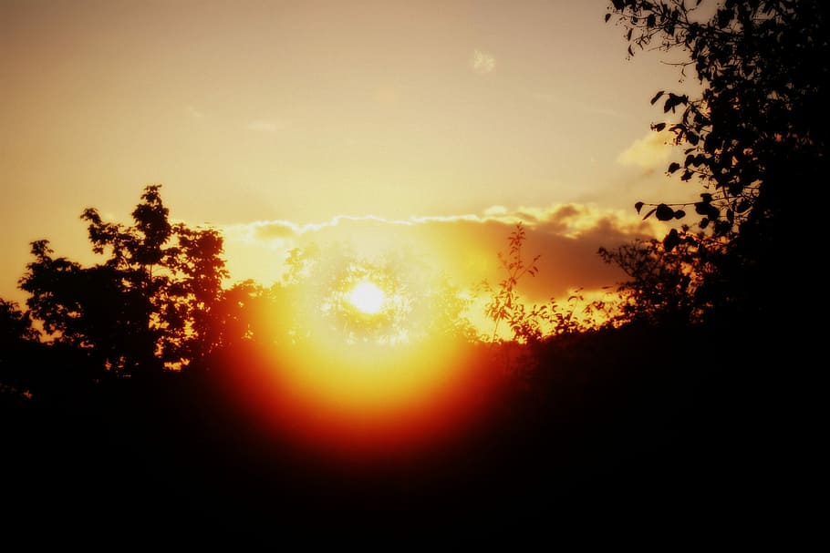 Sun, Sunset, Trees, Summer, Holidays, nature, evening, autumn HD wallpaper