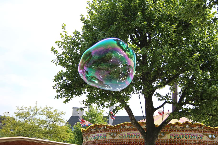 Bubbles, Tree, park, fragility, bubble wand, mid-air, day, plant HD wallpaper