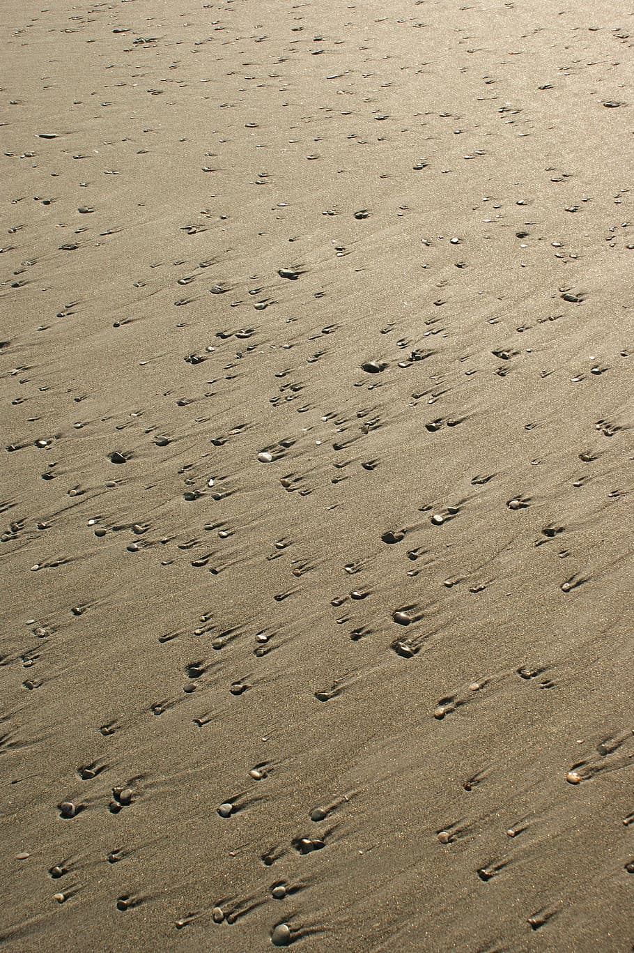 moving, stones, sand, land, beach, high angle view, full frame HD wallpaper