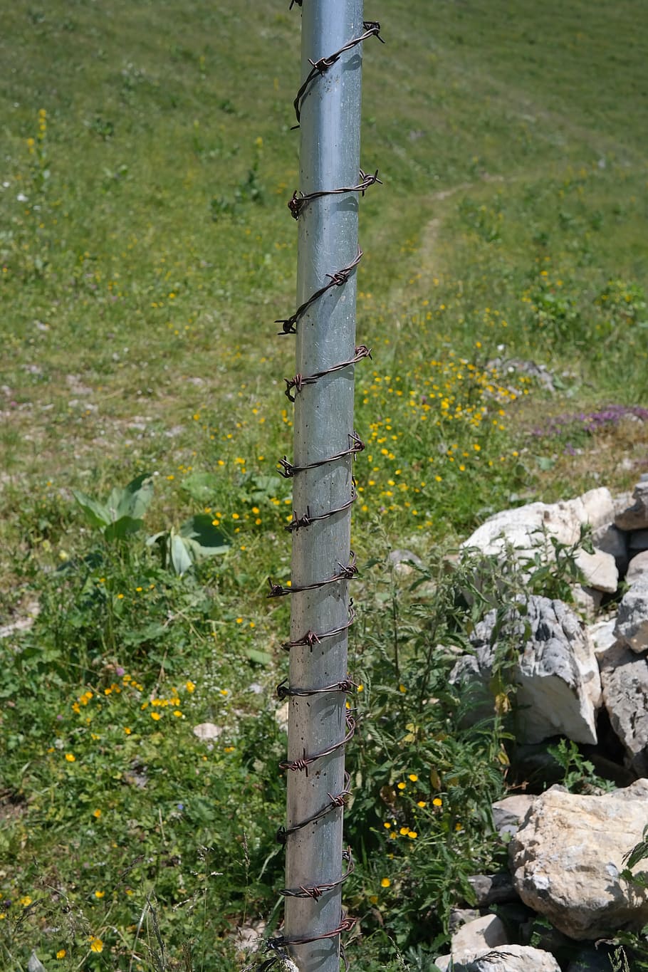 post, barbed wire, protection, protected, outdoors, nature HD wallpaper