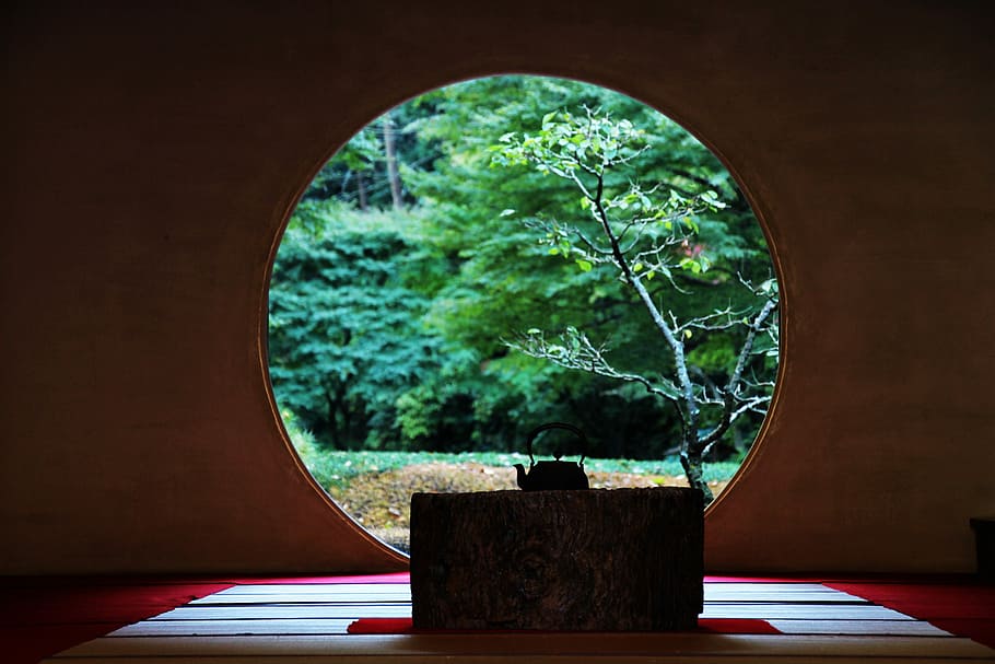 green leafed tree during daytime, Japan, Kamakura, Kanagawa, moon court, HD wallpaper