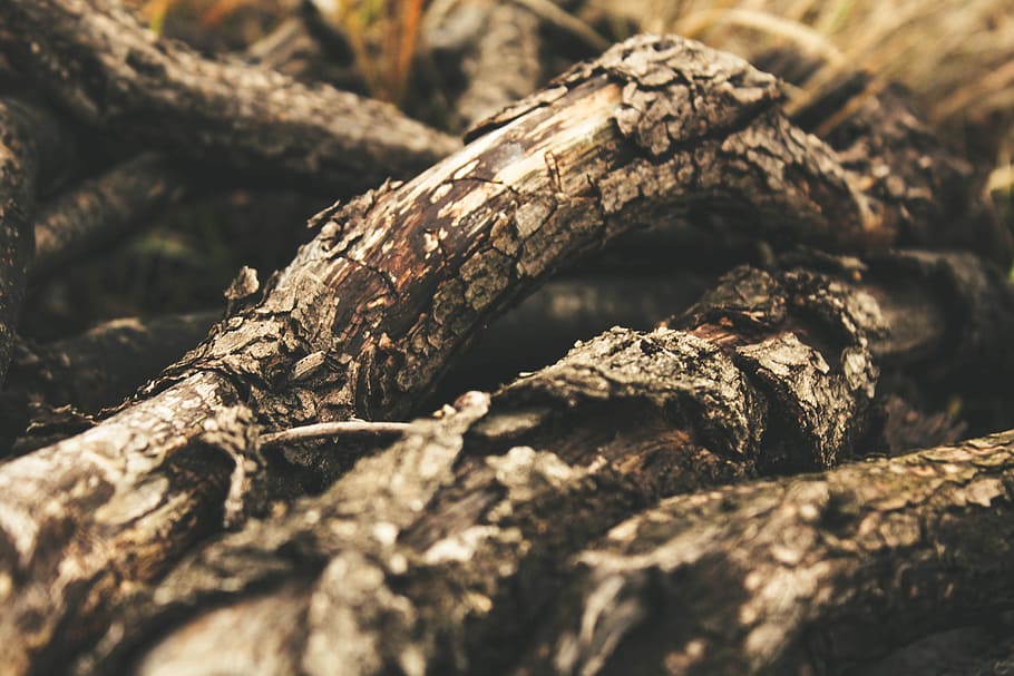 pile of firewood shallow focus photography, closed photo driftwood HD wallpaper