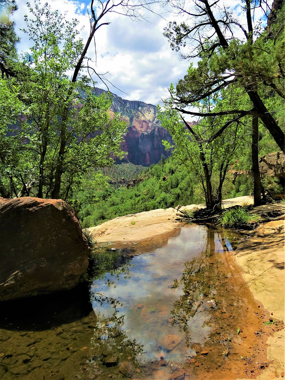 hiking, reflection, utah, mountain, landscape, wilderness, tree HD wallpaper
