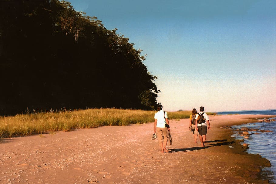 woman and two men standing on seashore beside trees, three person walking between mountain and body of water during daytime