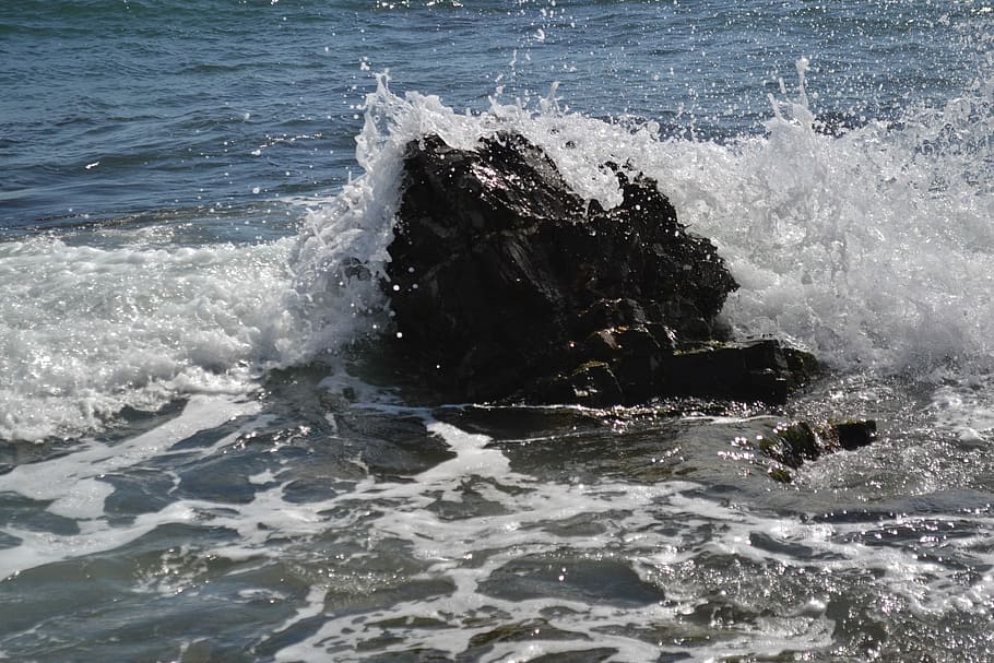 Surf, Spray, Wave, Ocean, Inject, Water, sea, danger, one animal HD wallpaper