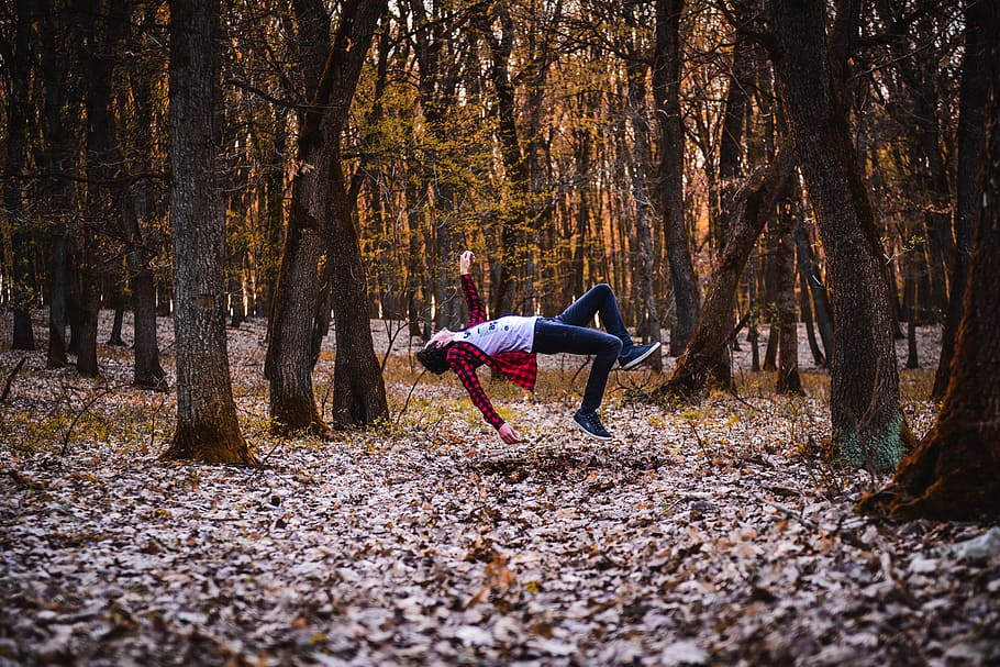 man between brown trees, person, float, forest, flannel, laying down HD wallpaper