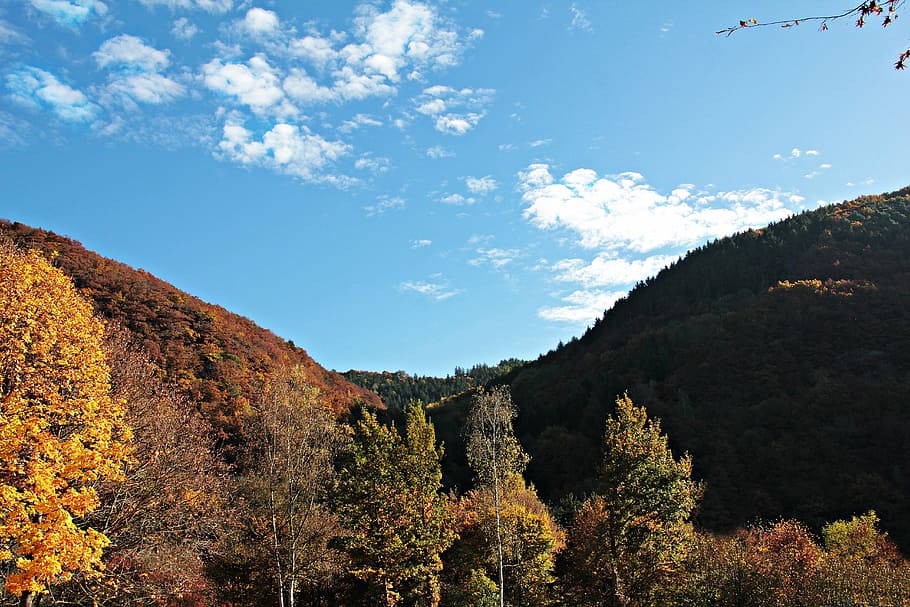 landscape, trees, autumn, mood, fall leaves, true leaves, golden autumn, HD wallpaper