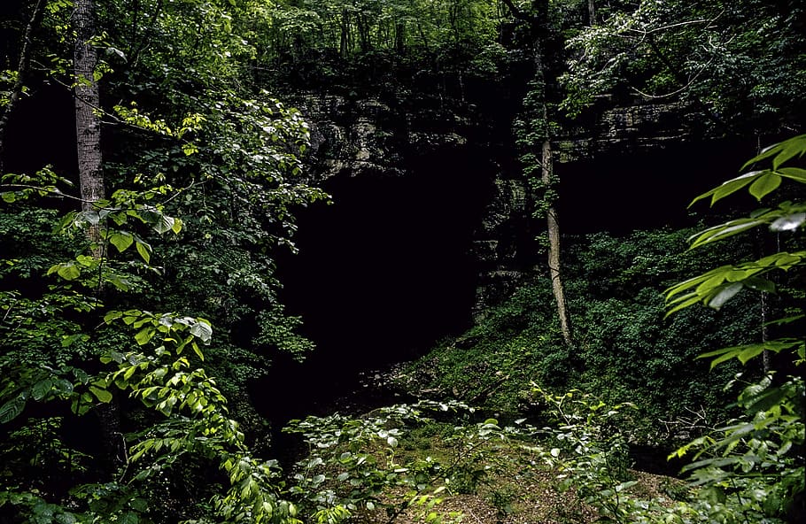 Entrance to Russell Cave in Alabama, cave entrance, photos, plants