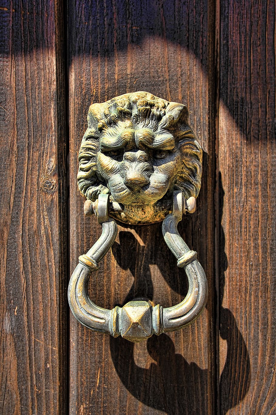 doorknocker, lion head, metal, input, old, ring, handle, decorative