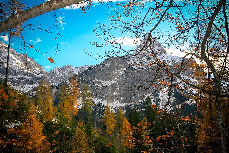 mountains, autumn, leaves, landscape, alpine, zugspitze mountain, HD wallpaper