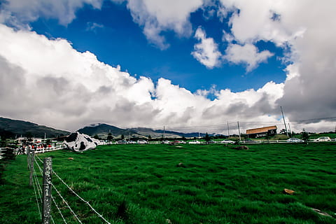 Ecosystem, Cloud, Environment, green, nature, ecology, natural HD wallpaper