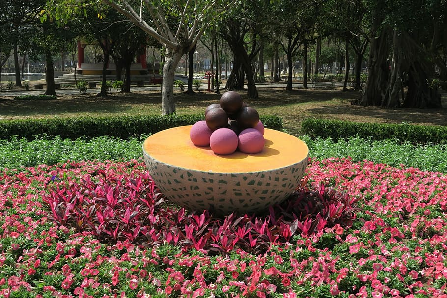 Tainan'S Flowers Offering, Fruit, duckweed farm park, tree, outdoors, HD wallpaper
