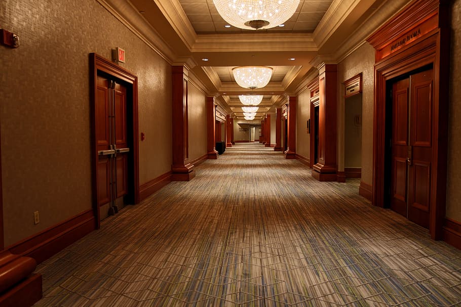 hallway beside brown wooden doors, white, hotel, corridor, conference