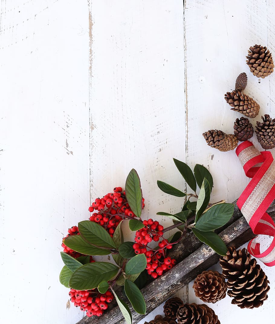 Red Fruits and Brown Pine Cones on White Wooden Surface, christmas decorations