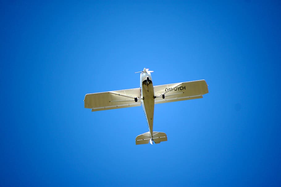 plane, flying, flight, airplane, transportation, aircraft, aviation HD wallpaper