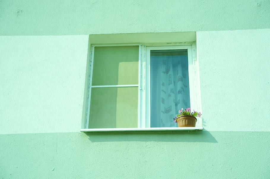 window, building, ledge, cornice, flower pot, built structure HD wallpaper