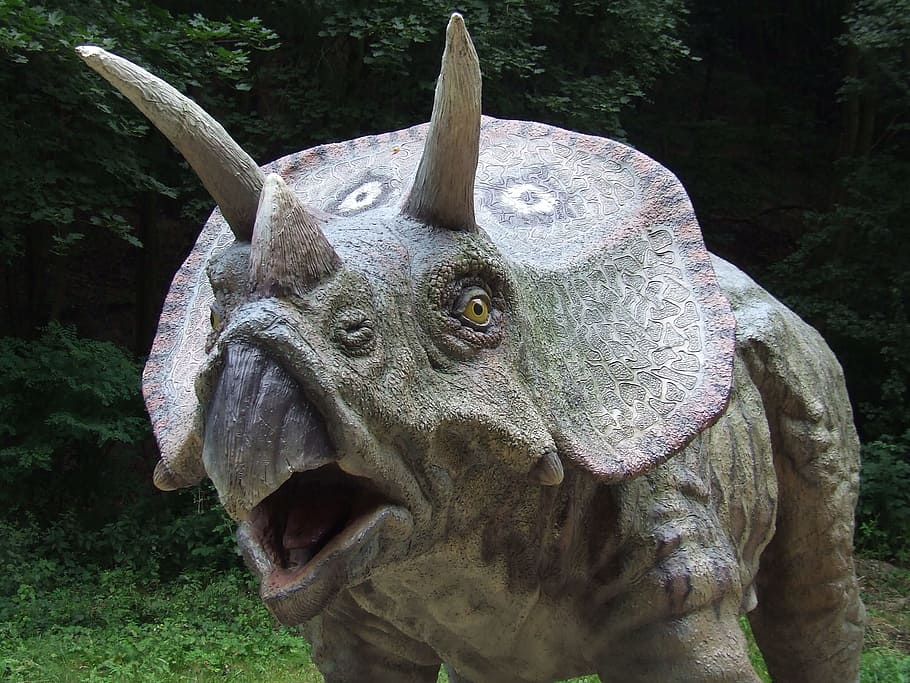 living nature triceratops