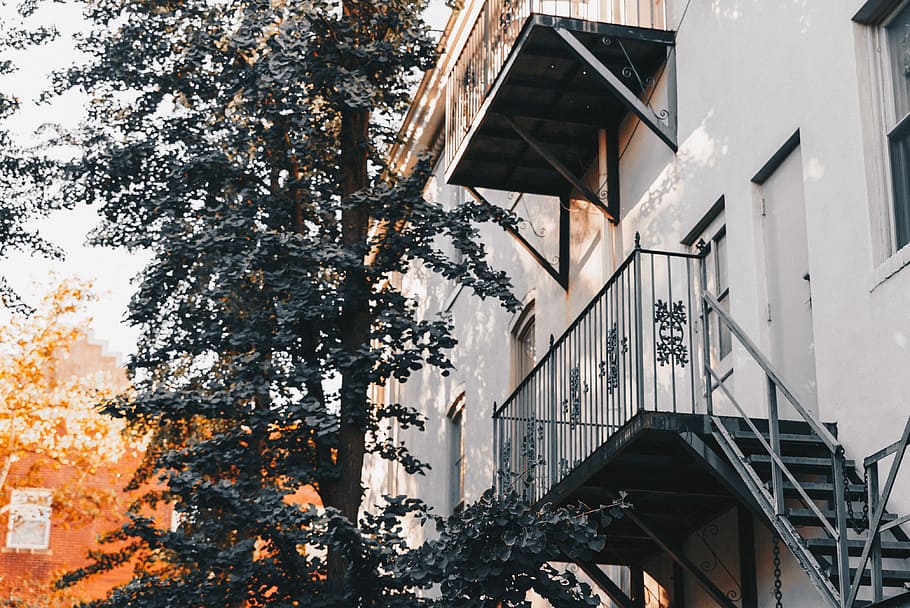 black metal staircase at the back of the house, tree beside building at daytime photo HD wallpaper