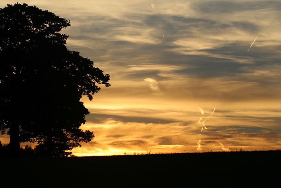 sunset, colors, colorful, tree, luxembourg, air, sky, cloud - sky HD wallpaper