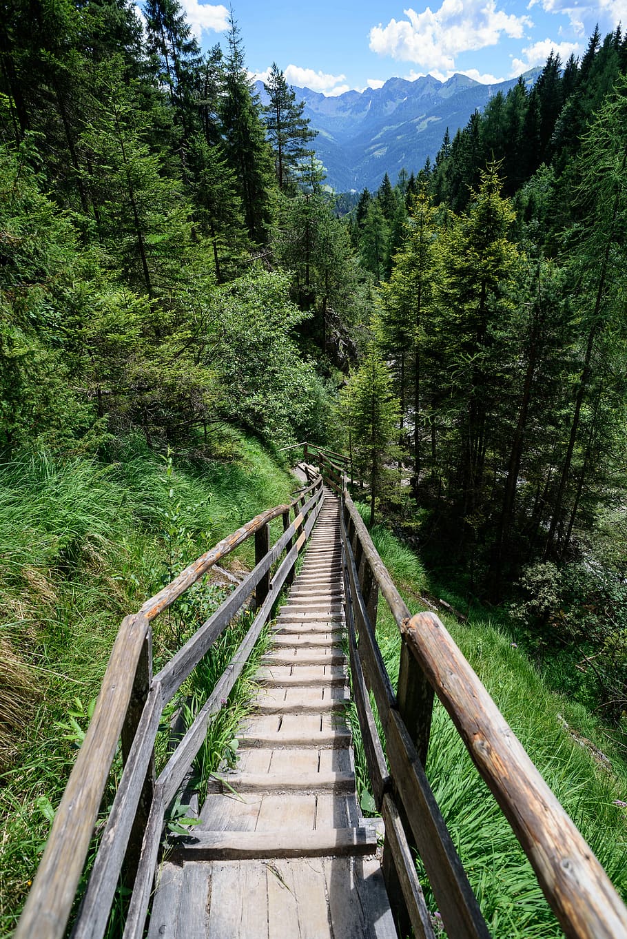 Hiking, Sidewalk, Away, Path, gradually, descent, migratory path HD wallpaper