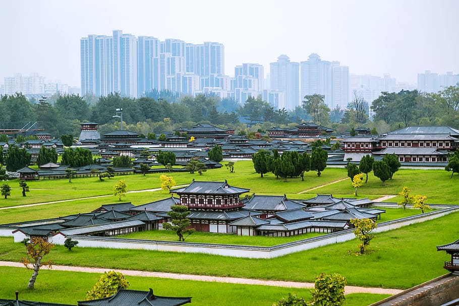daming palace, china, heritage park, tang palace, architecture, HD wallpaper