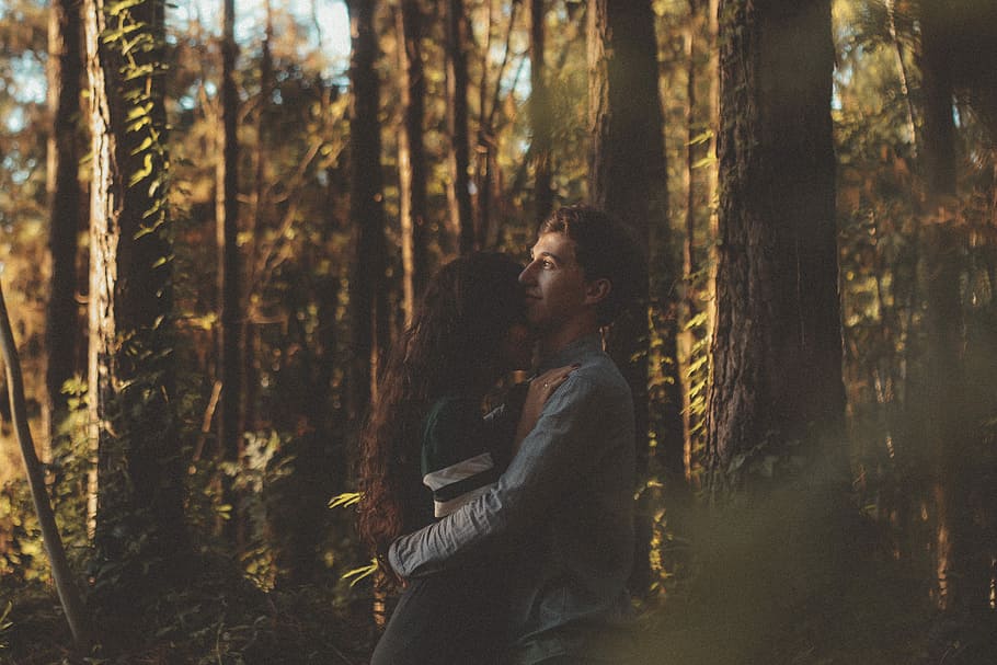 man and woman hugging each other on forest, man and woman hugging between tall trees, HD wallpaper