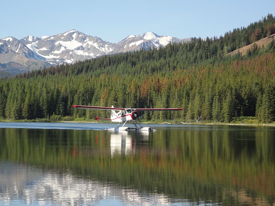 seaplane, canada, lake, mountains, forest, fly, british columbia, HD wallpaper