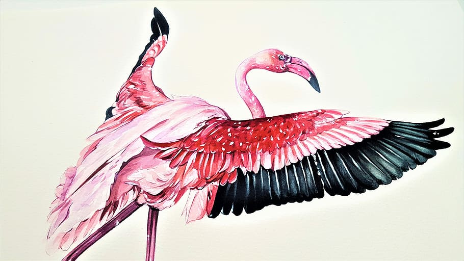 painting of flamingo, the greater flamingo, bird, animal, art