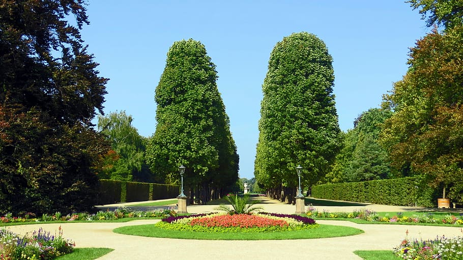 Castle Park, Pillnitz, schlossgarten, green area, dresden, tree HD wallpaper