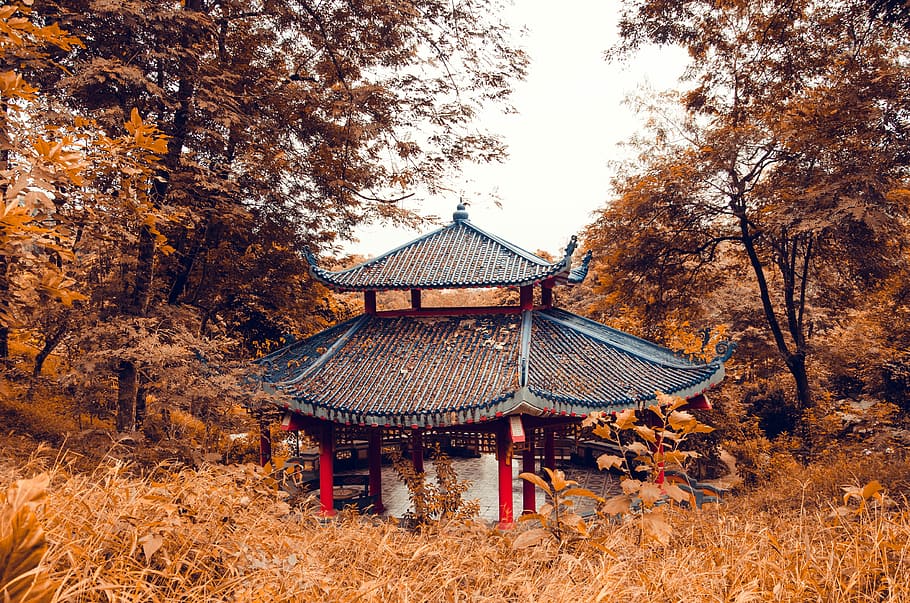 pagoda temple surrounded by trees, black and white gazebo near brown grass at day time HD wallpaper