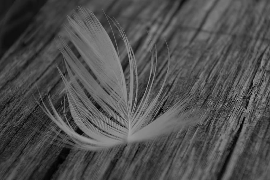 pen, light, soft, blur, black, white, close-up, selective focus HD wallpaper