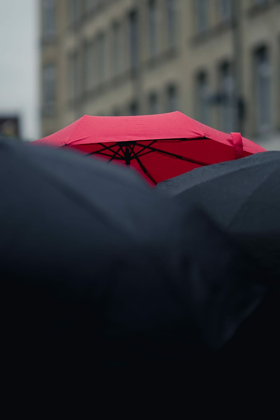 closeup photography of black and red umbrellas, selective focus photography of red umbrella, HD wallpaper
