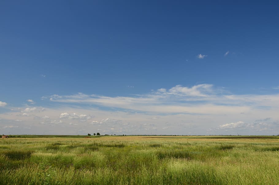 cloud, landscape, sky, summer time, environment, grass, beauty in nature HD wallpaper