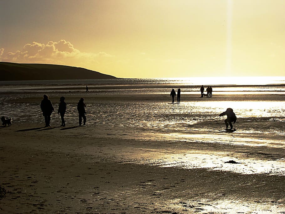 silhouettes, beach, dusk, sand, shore, coast, coastal, nature HD wallpaper