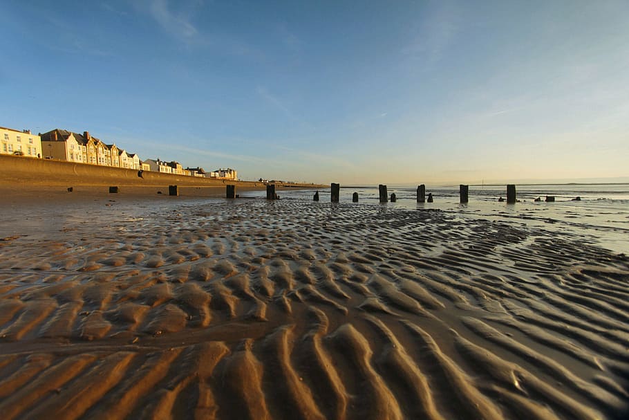 beach, low tide, more, sand, water, wave, texture, pottern HD wallpaper