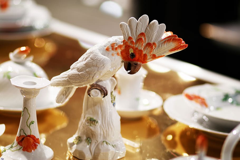 parrot, porcelain, food and drink, indoors, table, no people HD wallpaper