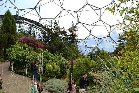 Eden, Project, Cornwall, Environment, ecology, england, conservation HD wallpaper