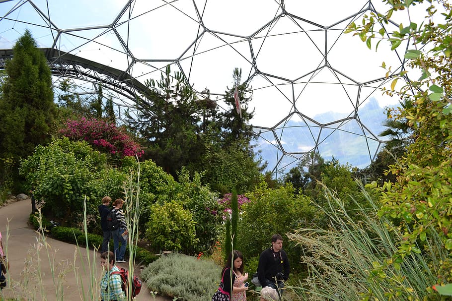 Eden, Project, Cornwall, Environment, ecology, england, conservation HD wallpaper