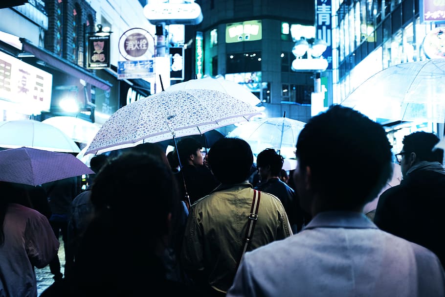 people with umbrellas walking on road in middle of buildings at night, group of people holding umbrellas HD wallpaper