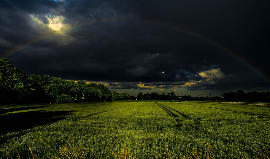 rainbow, green, grass, beauty in nature, sky, cloud - sky, landscape HD wallpaper