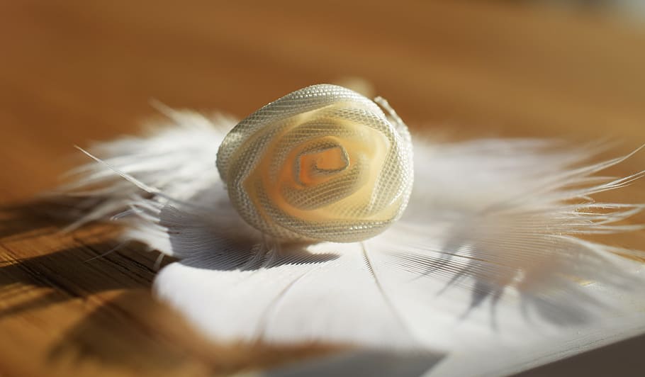 wedding, larissa, white, gently, little flower, selective focus HD wallpaper