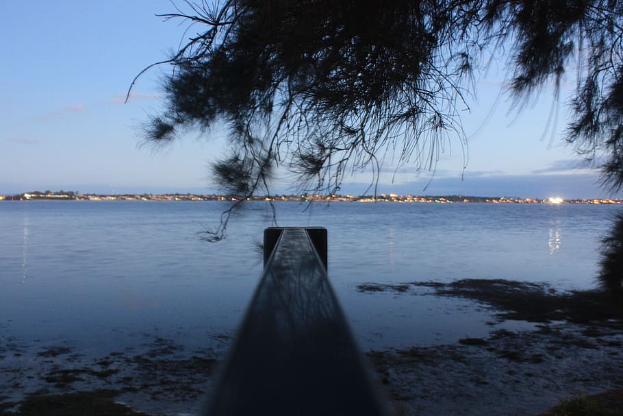 tree, jetty, river, water, sky, nature, plant, tranquil scene HD wallpaper