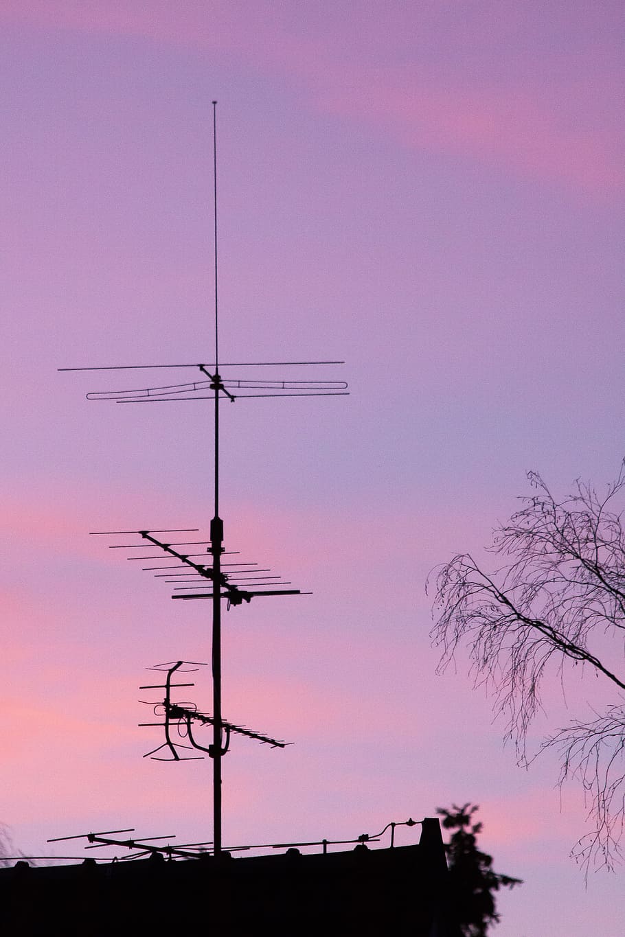 antenna, tree, cloud, sky, silhouette, fire, evening light HD wallpaper