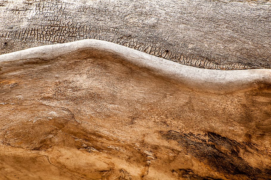 tree, trunk, wood, texture, background, art, artsy, tree trunk HD wallpaper