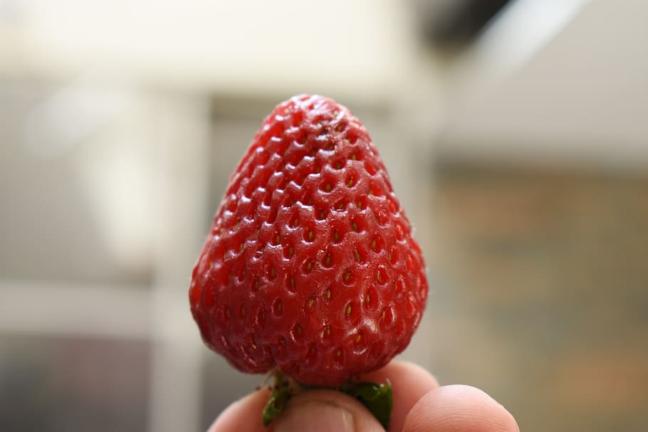 Blessing fruit. Miaowoka Fruity Strawberry.