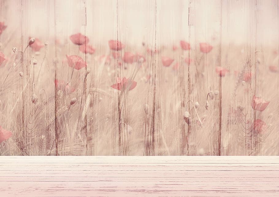 brown wooden floral fence, background image, flowers, klatschmohn