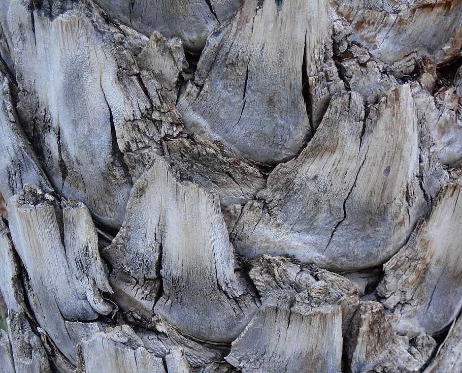 wood, background, texture, timber, rustic, natural, rough, pattern HD wallpaper