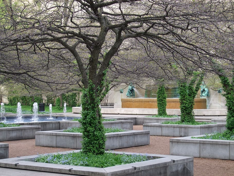 fountain, park, chicago, tree, organic, agriculture, outdoors HD wallpaper